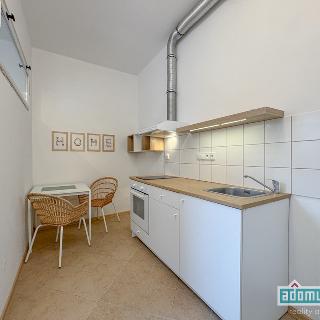 Pronájem bytu 1+1 32 m² Žatec, Hájkova