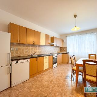 Pronájem bytu 2+1 95 m² Zbuzany, U Menhiru III