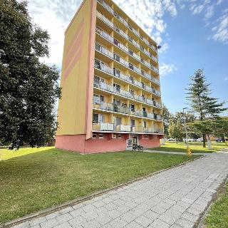 Pronájem bytu 1+1 34 m² Litovel, Novosady