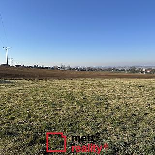 Prodej zemědělské půdy 18581 m&sup2; Dolany