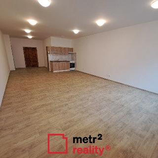 Pronájem bytu 1+kk a garsoniéry 50 m² Olomouc, U cukrovaru