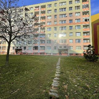 Prodej bytu 3+1 70 m² Olomouc, Urxova