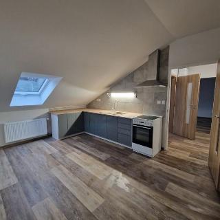 Pronájem bytu 2+1 75 m² Ústí nad Labem, Litoměřická