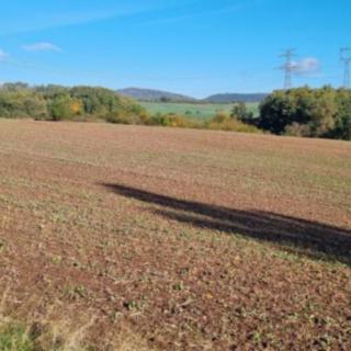 Prodej zemědělské půdy 1 070 000 m² Lubenec