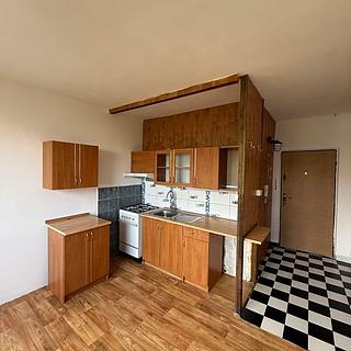 Prodej bytu 1+1 36 m² Chomutov