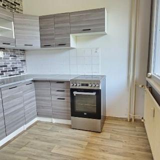 Pronájem bytu 2+1 49 m² Planá, Bohušova