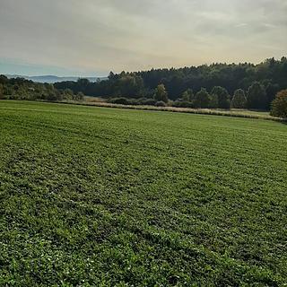 Prodej zemědělské půdy 12039 m&sup2; Postupice