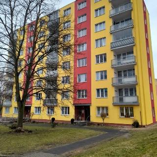 Prodej bytu 1+kk a garsoniéry 20 m² Sokolov, Marie Majerové