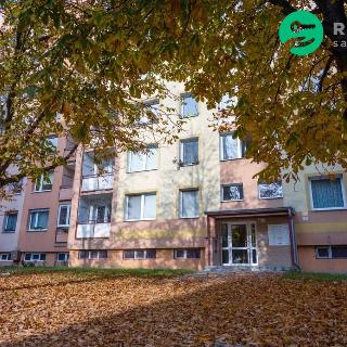 Prodej bytu 3+1 62 m² Olomouc, Stiborova