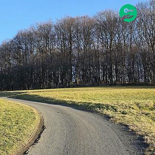 Prodej lesa 96946 m&sup2; Vsetín