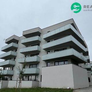 Pronájem bytu 2+kk 48 m² Karlovy Vary