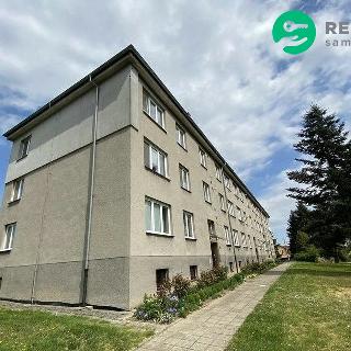 Prodej bytu 2+1 52 m² Suchdol nad Odrou, Sportovní