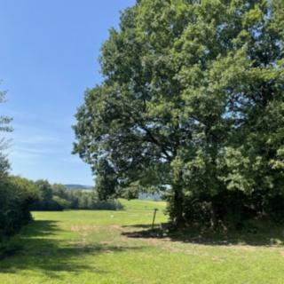 Prodej stavební parcely 3805 m&sup2; Kolinec