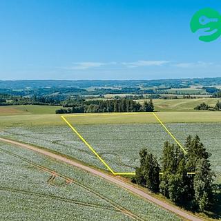 Prodej zemědělské půdy 40000 m² Prosečné