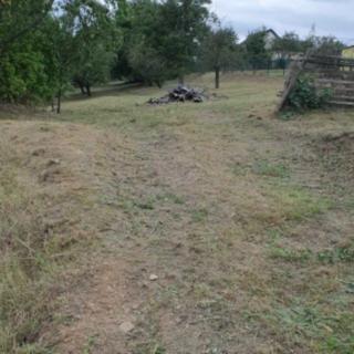 Pronájem zahrady 7000 m² Otročiněves