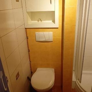 Pronájem bytu 1+kk a garsoniéry 21 m² České Budějovice, Jar. Haška