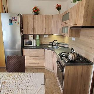 Pronájem bytu 1+1 41 m&sup2; Tachov