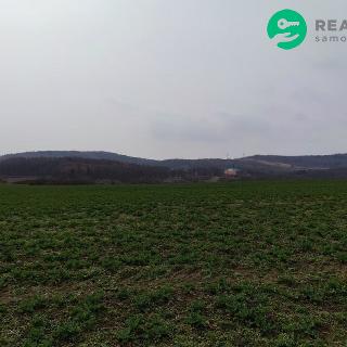 Prodej zemědělské půdy 130900 m² Mašťov