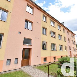 Prodej bytu 2+1 59 m² Dalovice, Májová