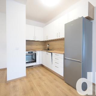 Pronájem bytu 1+kk a garsoniéry 55 m² Nejdek, Nerudova