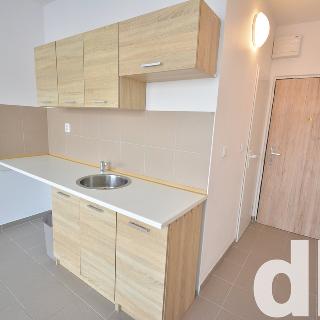 Pronájem bytu 1+kk a garsoniéry 20 m² Nové Sedlo, Sadová