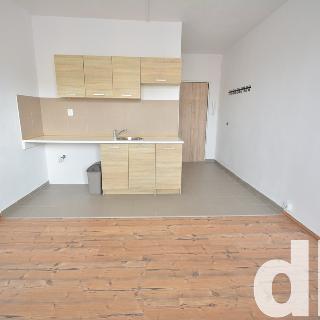 Prodej bytu 1+kk a garsoniéry 20 m² Nové Sedlo, Sadová