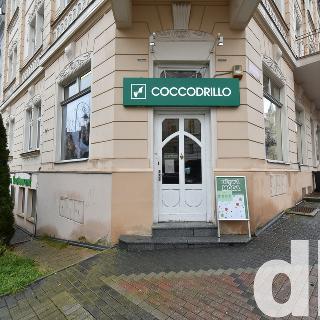 Prodej obchodu 60 m² Karlovy Vary, Moskevská