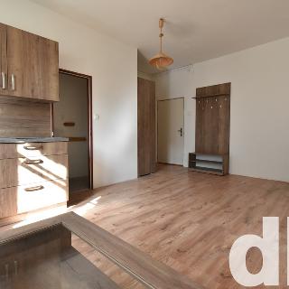 Prodej bytu 1+kk a garsoniéry 28 m² Březová, Cínová