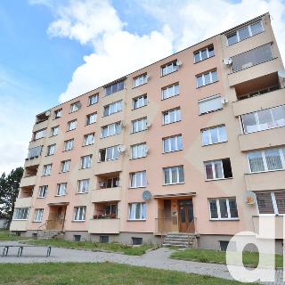 Pronájem bytu 1+kk a garsoniéry 20 m² Nové Sedlo, Sadová