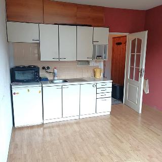 Prodej bytu 1+kk a garsoniéry 21 m² Karlovy Vary, Lidická