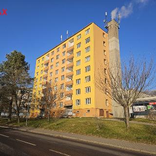 Prodej bytu 1+1 38 m² Třemošnice, 1. máje