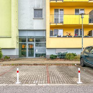 Pronájem parkovacího místa 12 m² Hradec Králové, Ve Stromovce