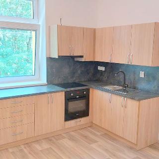 Pronájem bytu 2+1 55 m² Mirošov, U Nádraží