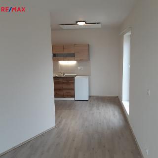 Pronájem bytu 1+kk a garsoniéry 24 m² Škvorec, 