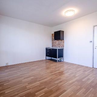 Pronájem bytu 1+kk a garsoniéry 26 m² Praha, Dobevská