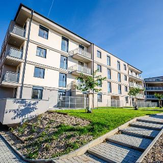 Prodej bytu 1+kk a garsoniéry 43 m² Brandýs nad Labem-Stará Boleslav, Augustina Lukeše