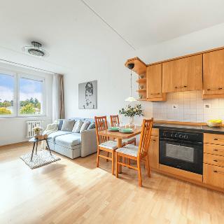 Prodej bytu 1+kk a garsoniéry 30 m² Praha, Peškova