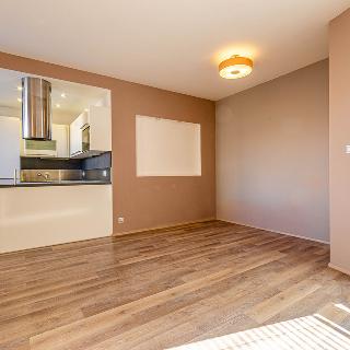 Prodej bytu 2+kk 56 m² Praha, Svitákova