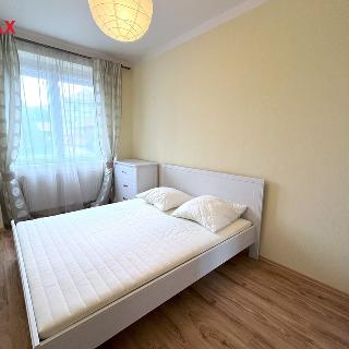 Pronájem bytu 2+1 44 m² Praha, Kozí