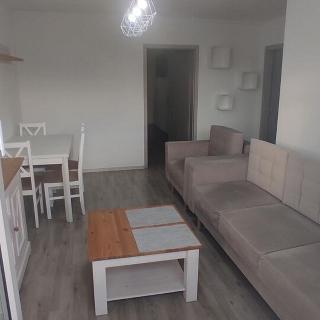 Pronájem bytu 2+1 46 m² Milovice, Spojovací