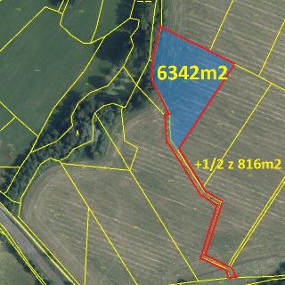 Prodej zemědělské půdy 6 750 m² Vrbatův Kostelec