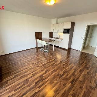 Pronájem bytu 1+kk a garsoniéry 32 m² Praha, Plzeňská