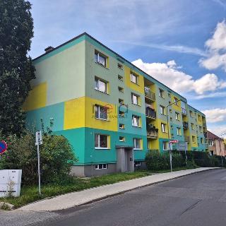 Pronájem bytu 2+kk 41 m² Nový Bor, Husova