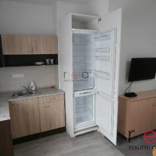 Pronájem bytu 1+kk a garsoniéry 24 m² Nový Bor