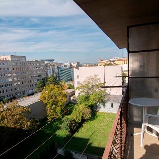 Pronájem bytu 1+kk a garsoniéry 31 m² Brno, Příční