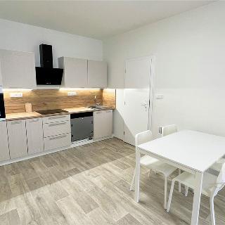 Pronájem bytu 2+kk 46 m² Boskovice, Hálkova