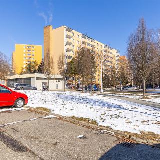 Prodej bytu 3+1 78 m² Brno, Ečerova