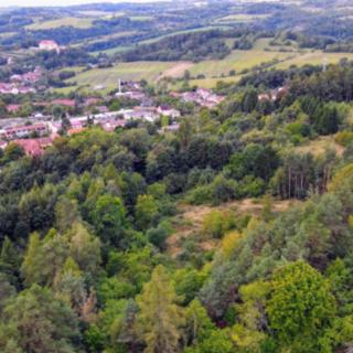 Prodej ostatních pozemků 10775 m&sup2; Kunštát