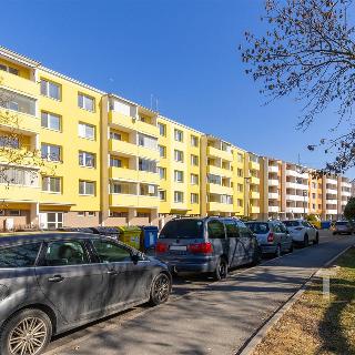 Prodej bytu 4+1 93 m² Brno, Bučovická