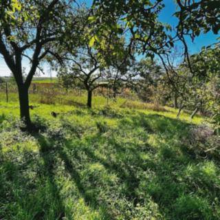 Prodej zahrady 1046 m&sup2; Kyjov